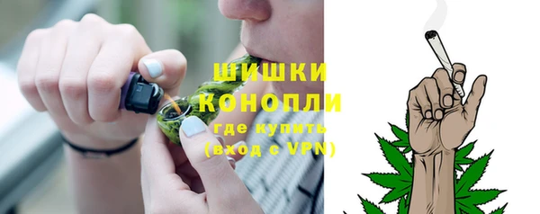 гидра Бородино