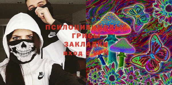 амф Бугульма
