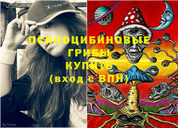 стафф Богородицк