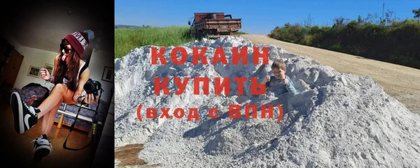 гидра Бородино