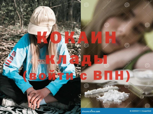 гидра Бородино