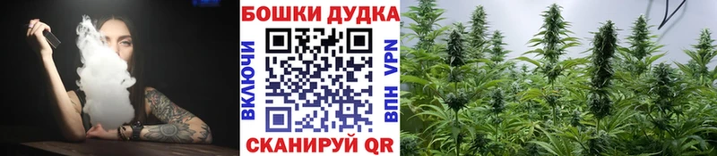 купить закладку Дигора Каннабис SATIVA & INDICA